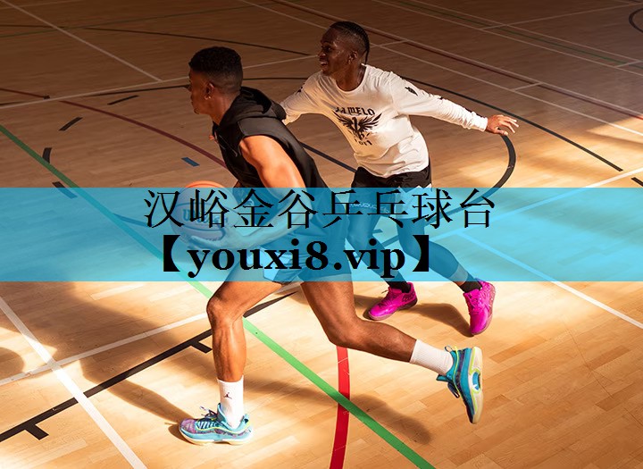 汉峪金谷乒乓球台