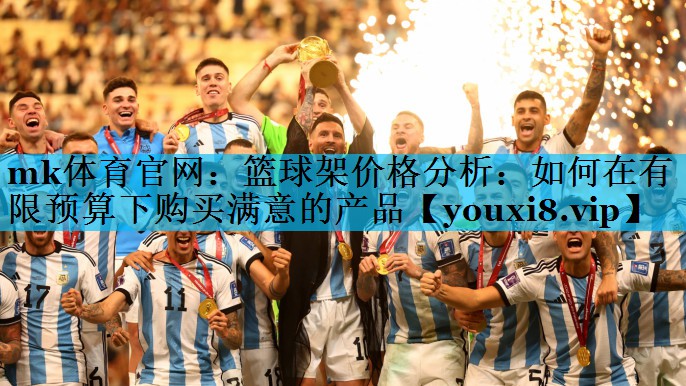 mk体育官网：篮球架价格分析：如何在有限预算下购买满意的产品