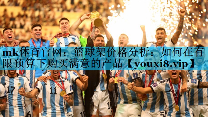 篮球架价格分析:如何在有限预算下购买满意的产品 篮球架价格分析:如何在有限预算下购买满意的产品